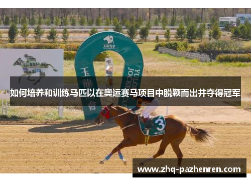 如何培养和训练马匹以在奥运赛马项目中脱颖而出并夺得冠军 如何培养和训练马匹以在奥运赛马项目中脱颖而出并夺得冠军