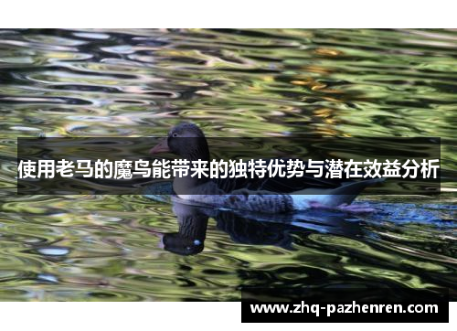 使用老马的魔鸟能带来的独特优势与潜在效益分析 使用老马的魔鸟能带来的独特优势与潜在效益分析