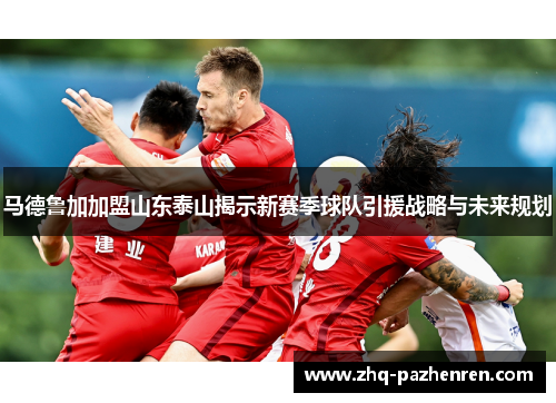 马德鲁加加盟山东泰山揭示新赛季球队引援战略与未来规划