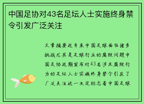 中国足协对43名足坛人士实施终身禁令引发广泛关注
