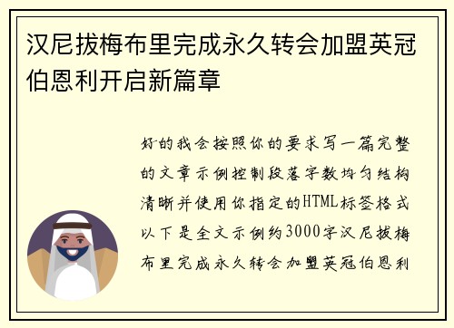 汉尼拔梅布里完成永久转会加盟英冠伯恩利开启新篇章