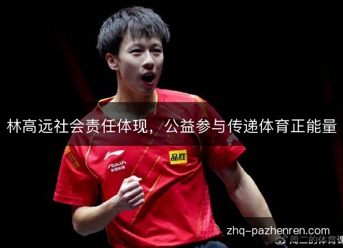 林高远社会责任体现，公益参与传递体育正能量